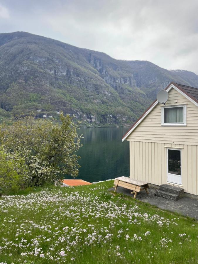 Aurland Feriehus エクステリア 写真