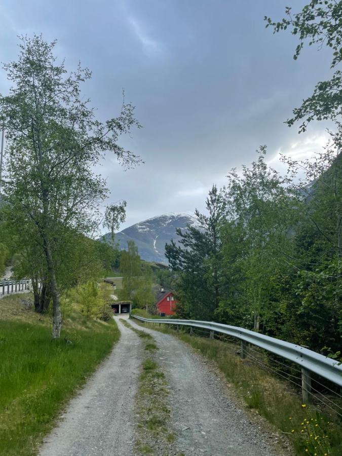 Aurland Feriehus エクステリア 写真