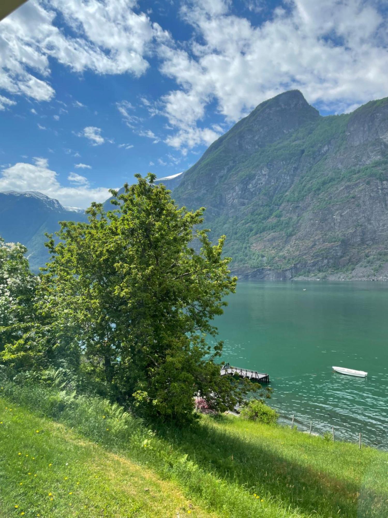 Aurland Feriehus エクステリア 写真